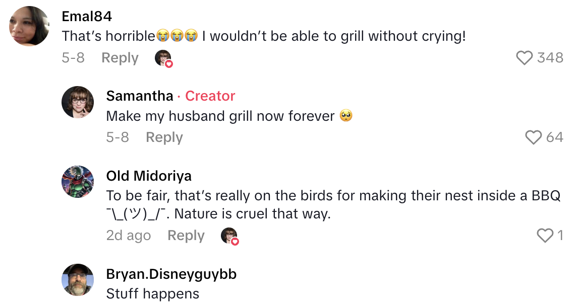 Screenshot 2025 06 20 at 2.23.09 PM Blackstone Griddle Owner Warned People To Check Inside Their Grills Before Using Them